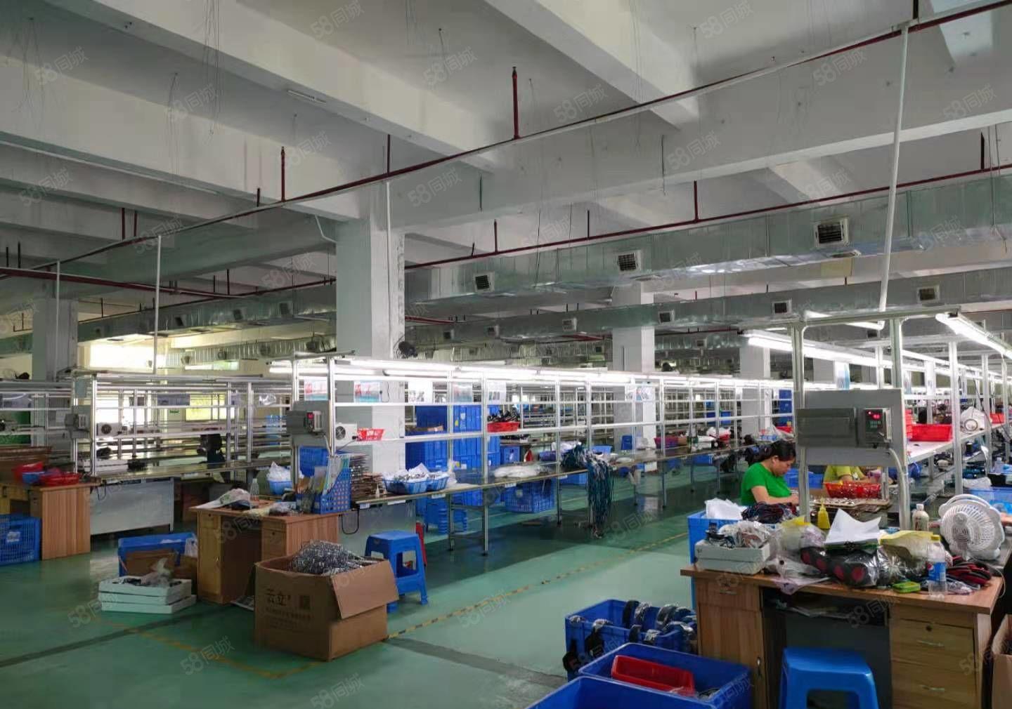 横沥镇三江工业区内原房东分租精装修标准厂房2000平方水电齐