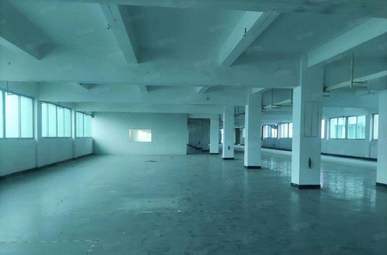 原房东8元无公摊甩租横沥常平东坑经典小独院三千平一楼红本出租