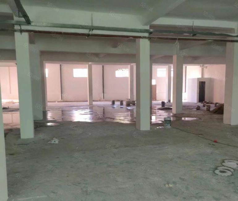 横沥独栋厂房低价出租