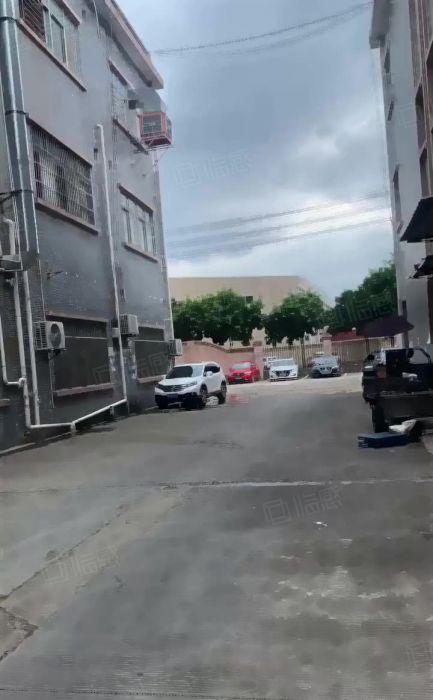 原房东一楼500平方横沥镇模具城旁独院厂房现成办公室高度5米