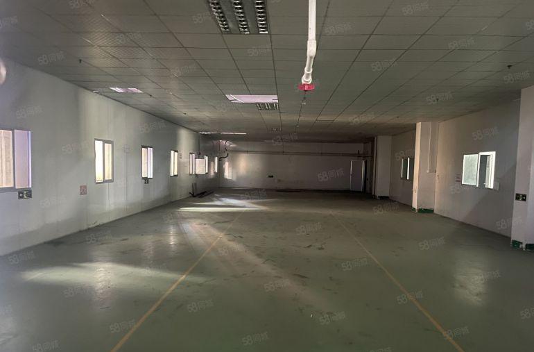 横沥本地房东新出标准独院带牛角位。适合五金注塑电子加工等行业