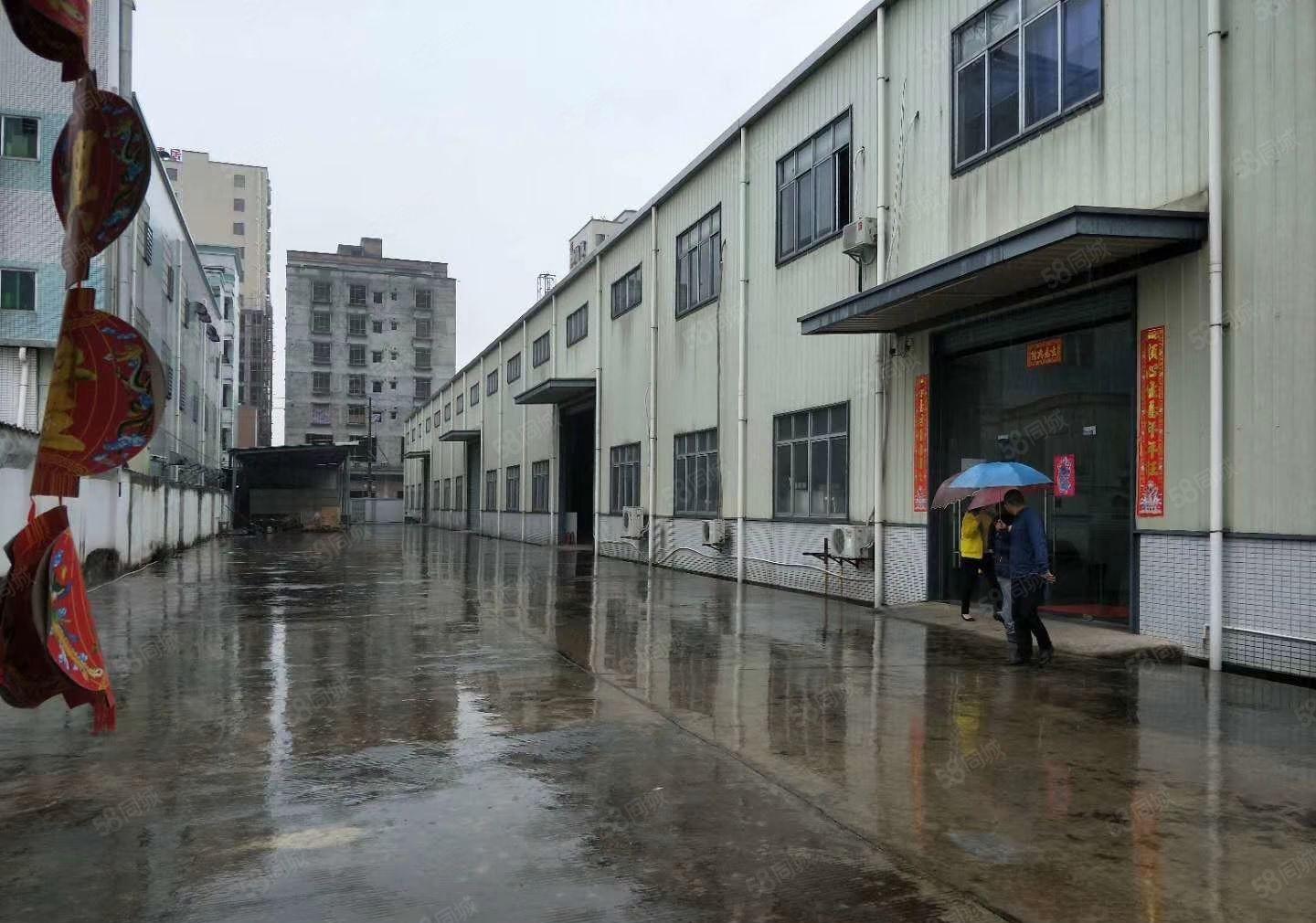 横沥镇本地房东出租3000平方独院钢构厂房滴水10米可办环评