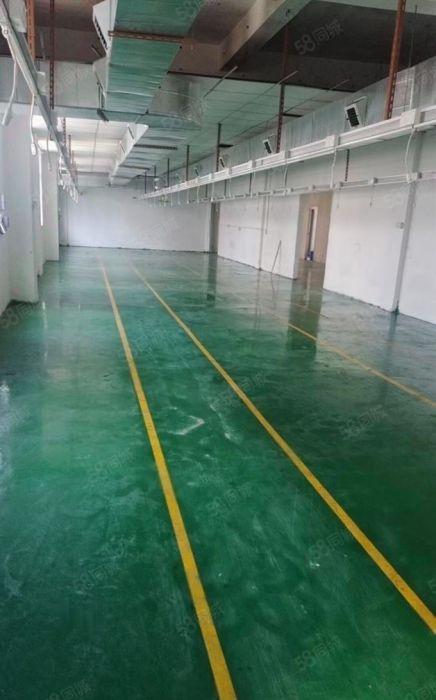 横沥镇6 块一平厂房三楼 800 平出租现成办公室水电齐全