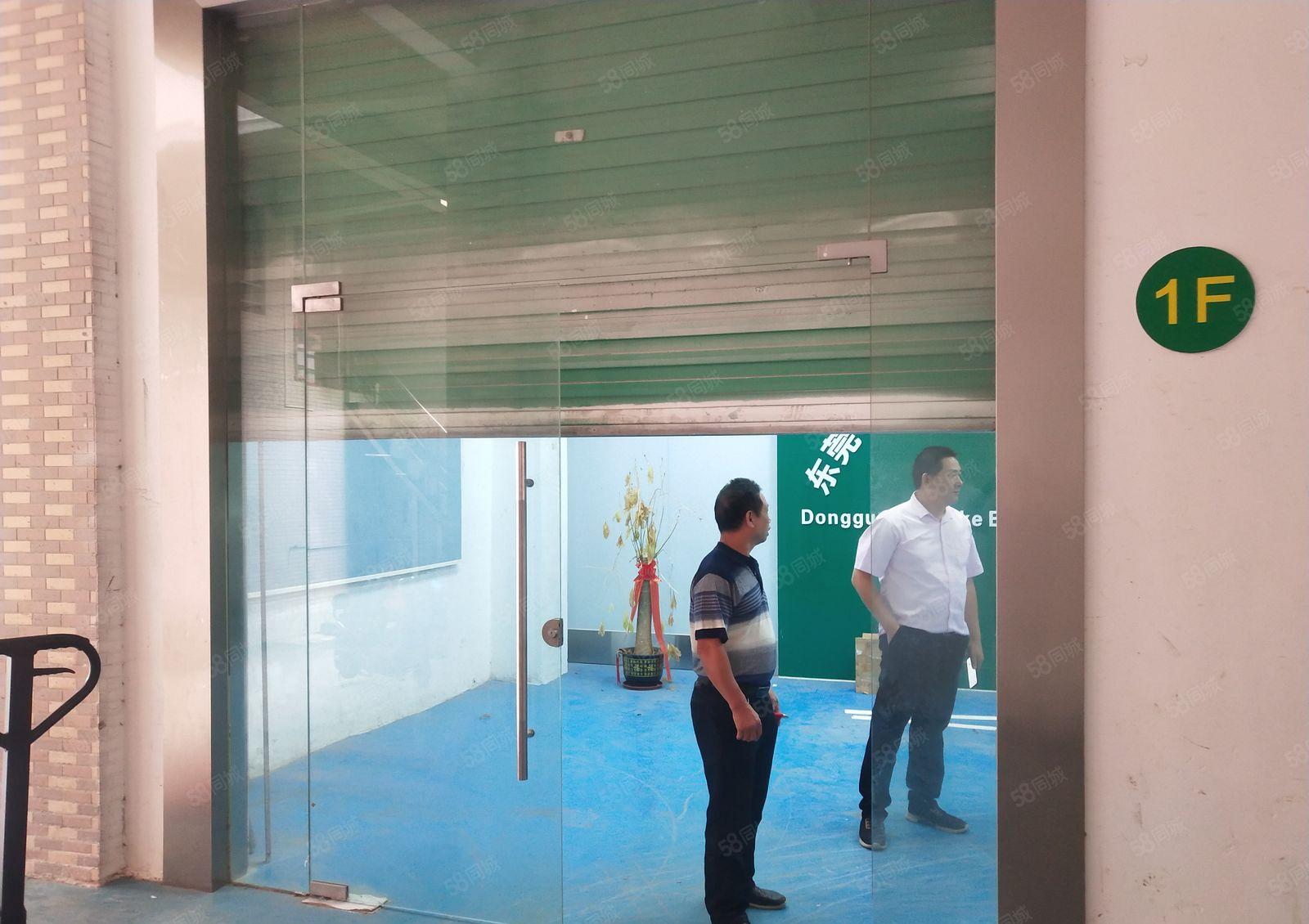 横沥镇新出一楼1500平带地坪漆 交通方便好招工低价厂房出租