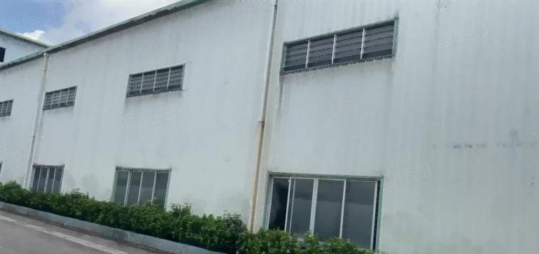 横沥镇单一层独院钢构厂房出租高10米原房东2000平方无公摊