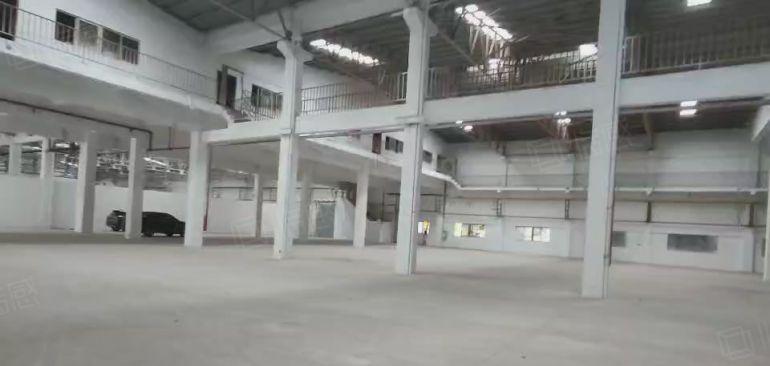 沙田镇单一层钢构厂房 空地大 可停飞机 适合仓库 物流 机械