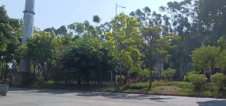 沙田厂房出租厂房总面积15800平方米500平方米起租