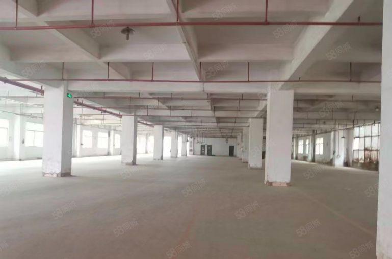 沙田镇原房东红本标准独院厂房13层8500平方超大空地