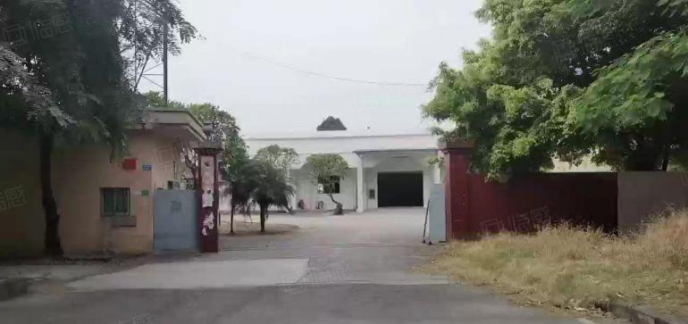 沙田镇港口大道边独门独院花园式7500方厂房，象价格便宜