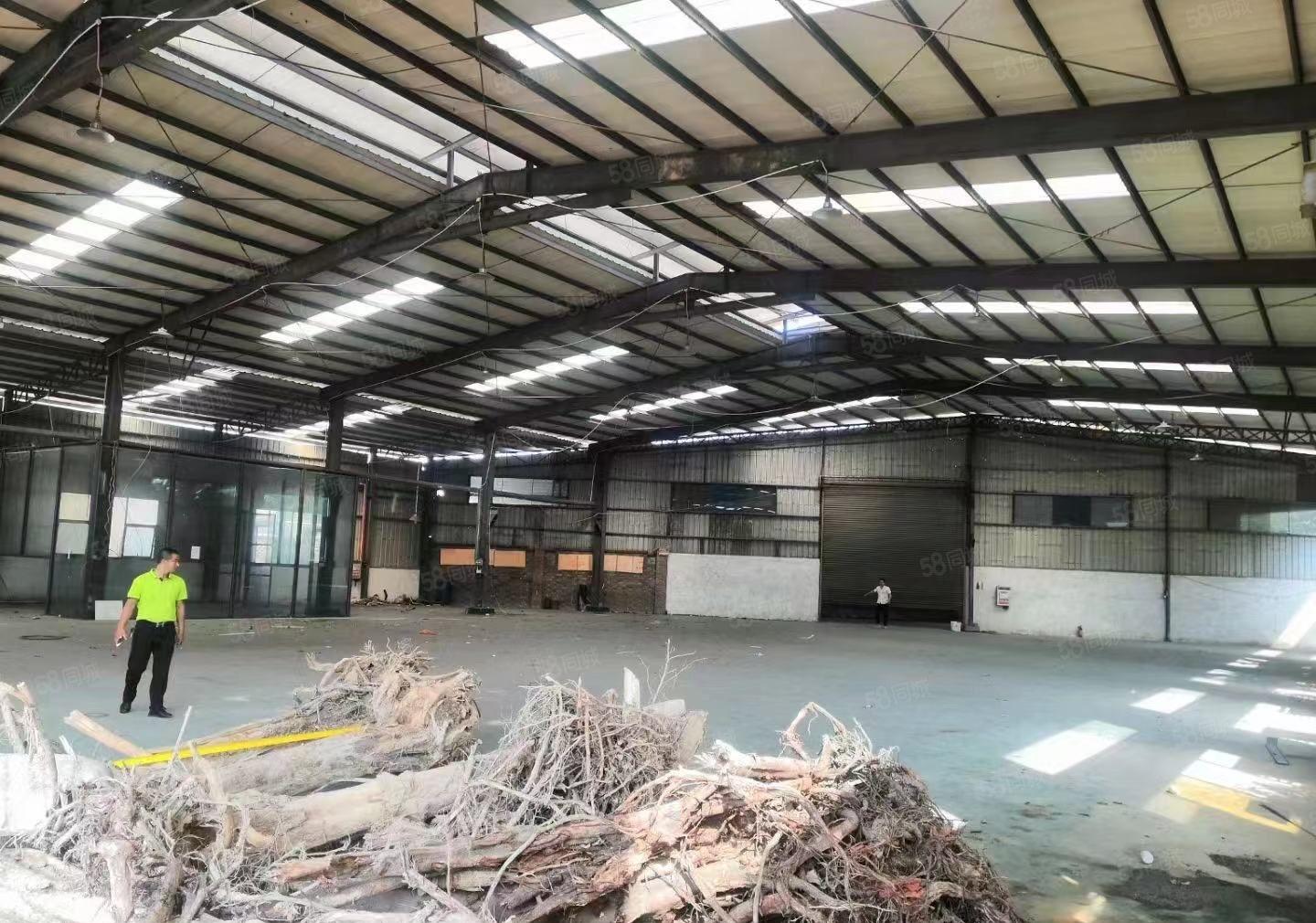 沙田镇超高超靓重型单一层钢构厂房，砖墙到顶10米高