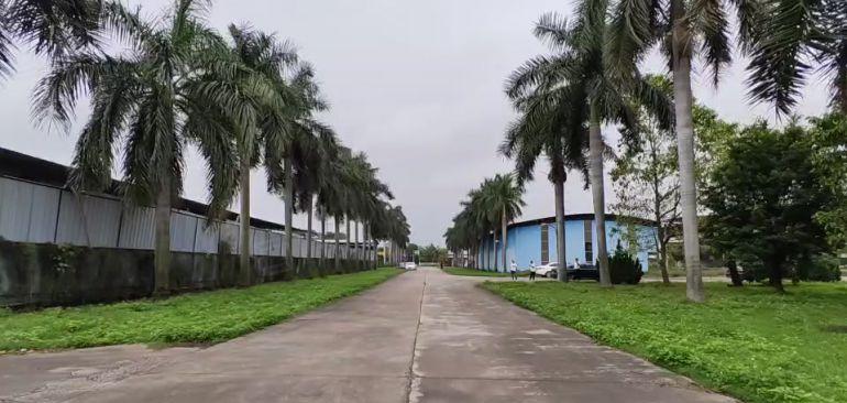 （任意分租）独院钢构厂房76000方低价租，带红本，空地超大