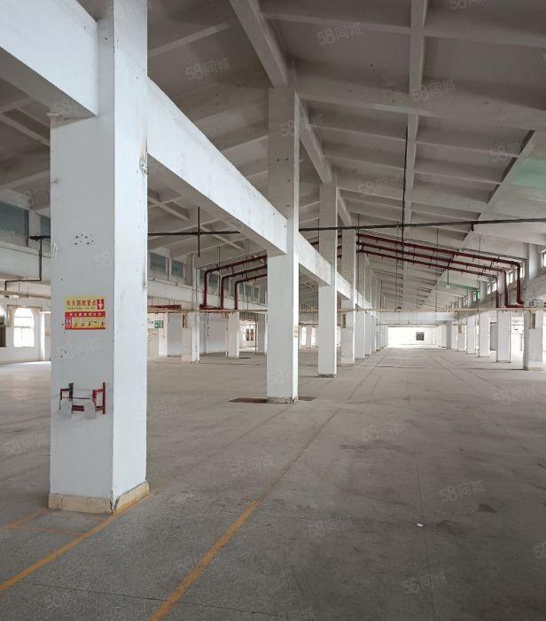 沙田新出原房东上市公司形象独栋厂房22680方