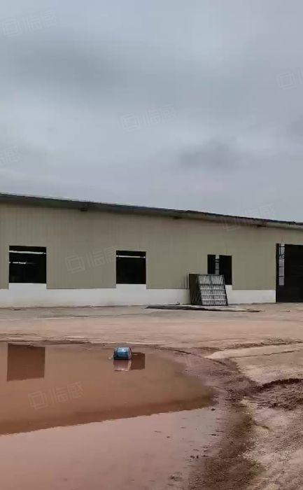 沙田阇西园区单一层厂房低价出租超大空地国有红本工业用地