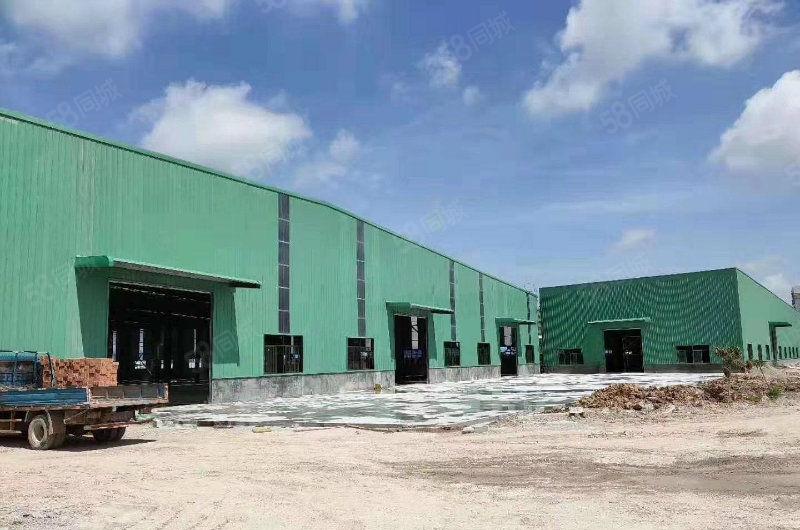 东莞沙田镇全新滴水9米带牛角钢构厂房出租