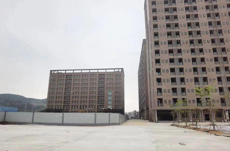 沙田镇原房东直租厂房约13万平方米，看厂房请联系阿福。