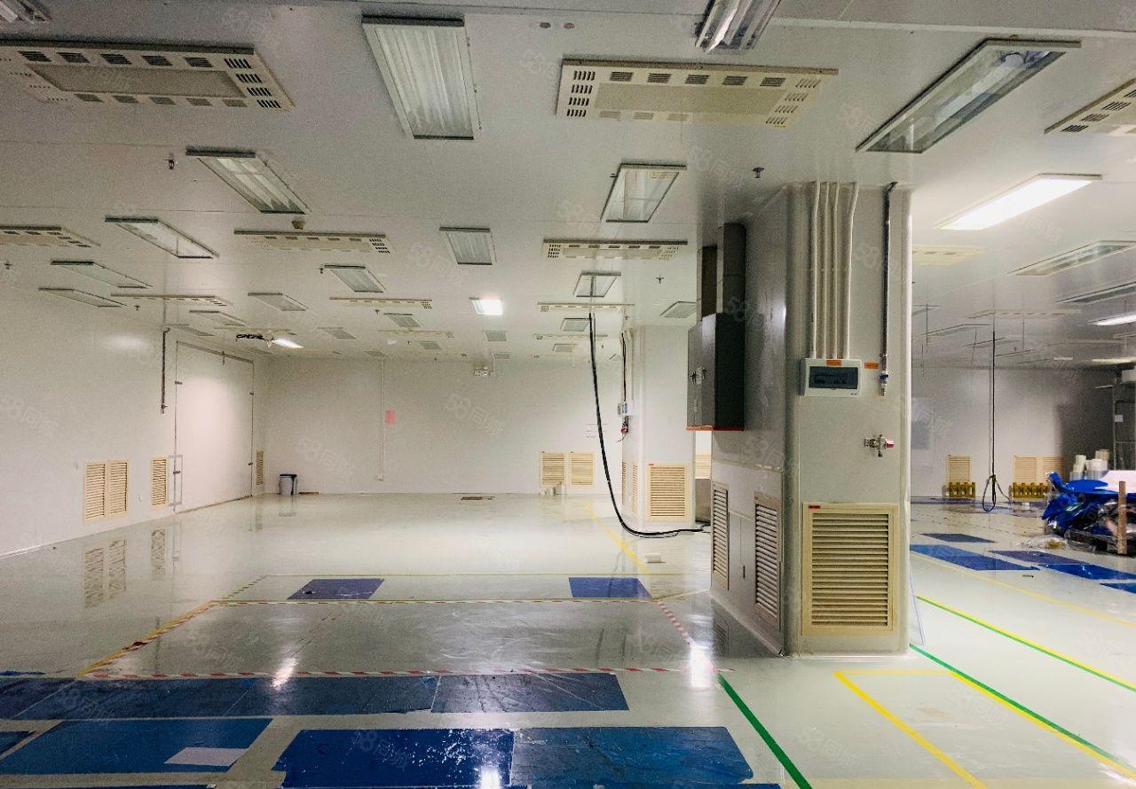 出租|大岭山工业区无尘车间4500平方低价厂房出租，豪华装修