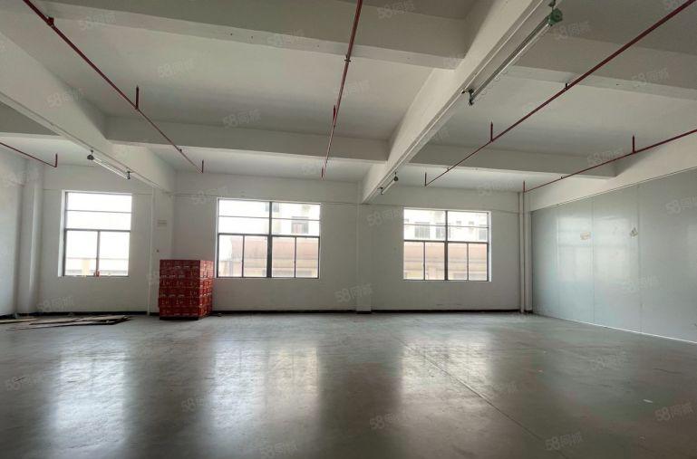 沙田大型园区一楼1000平2楼1500平现成装修 三吨货梯