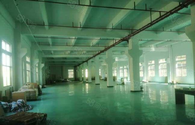 原房东独院标准厂房三层6000方 带现成办公室与宿舍工业用地