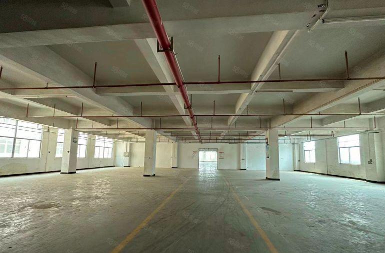 东莞沙田厂房出租标准工业园区精装修原房东实际面积出租