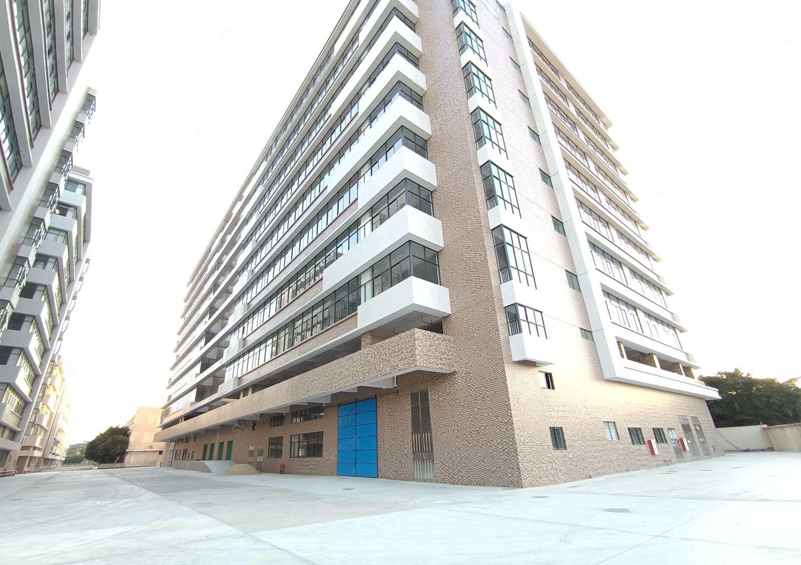 钜惠！沙田全新独门独院标准厂房出租，园区证件齐全空地大 可分