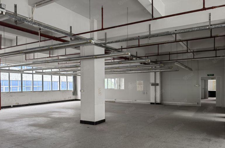 沙田镇杨公洲原房东精装办公 现成水电 独院厂房出租