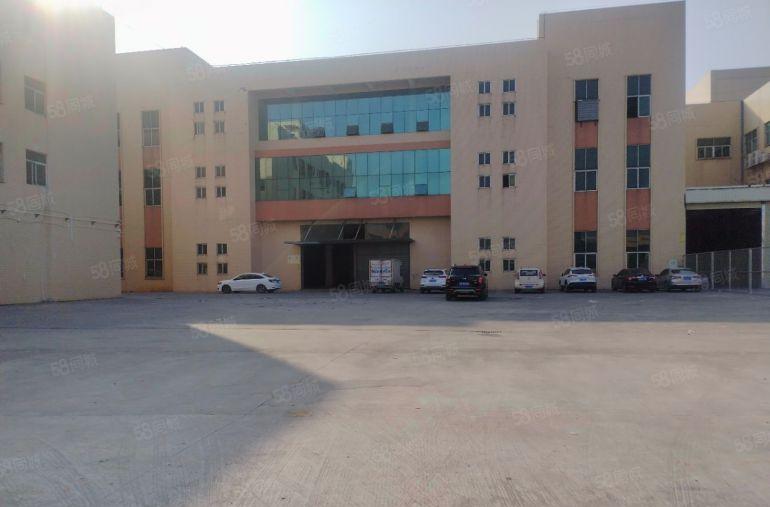 沙田镇原房东红本标准独院厂房13层8500平方超大空地