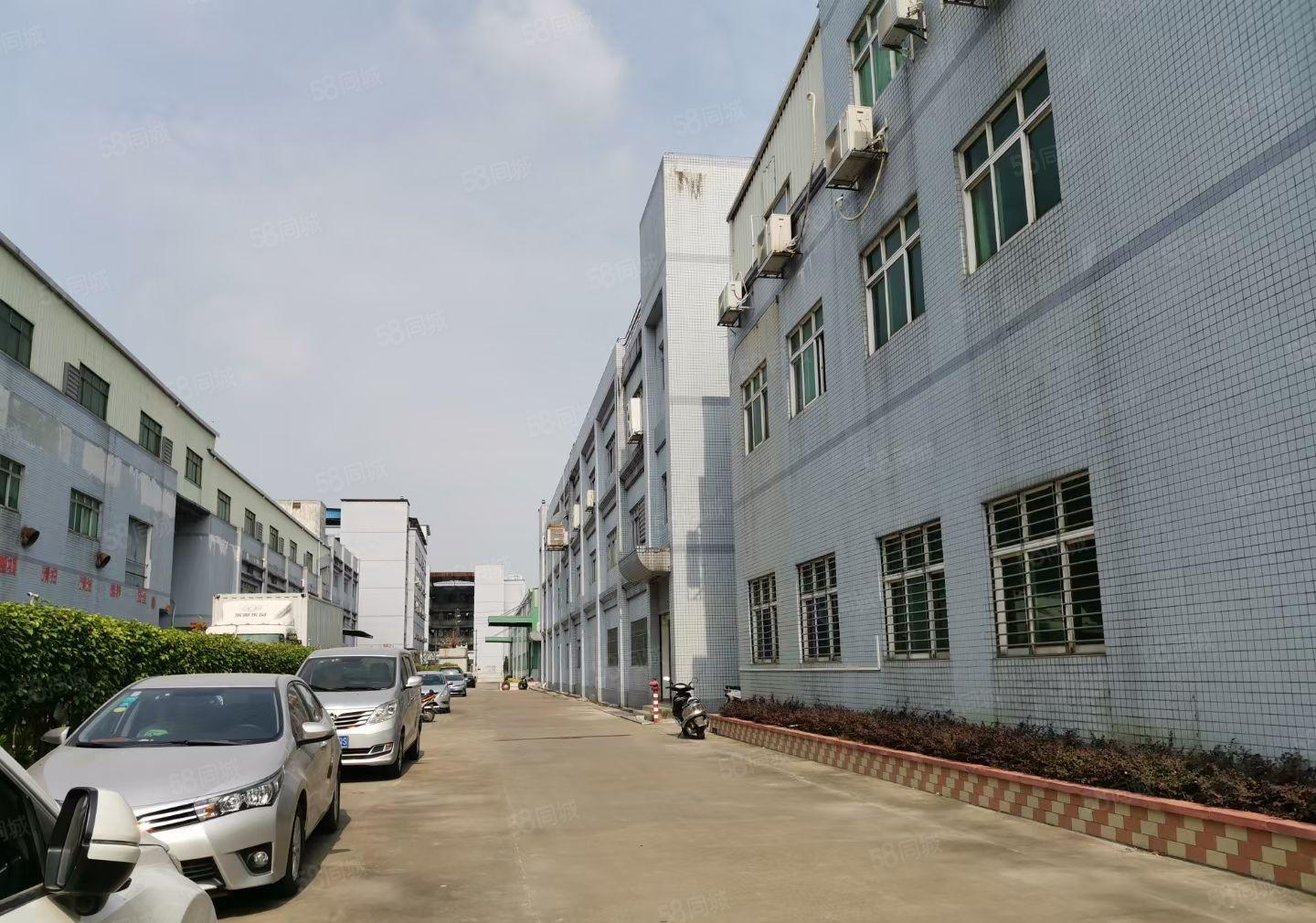 沙田标准厂房工业园招租，上市公司形象