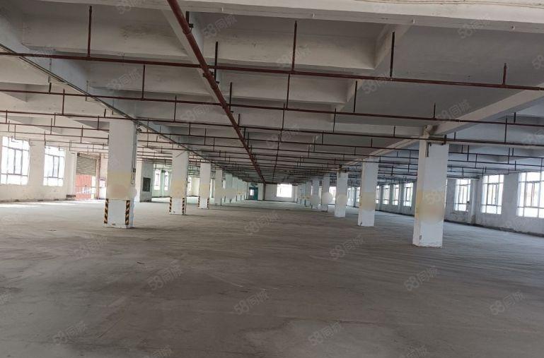 沙田厂房出租厂房总面积15800平方米500平方米起租