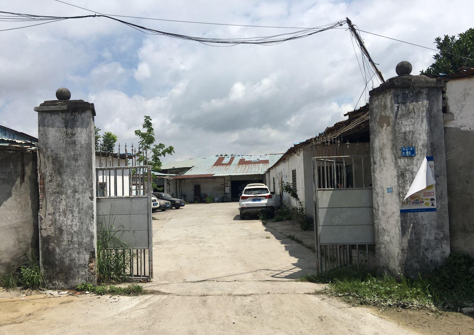 沙田西太隆独门独院厂房出租厂房加办公室一共2800方可分租