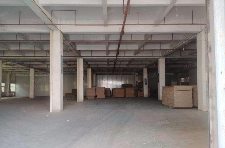 沙田镇原房东红本标准独院厂房13层8500平方超大空地