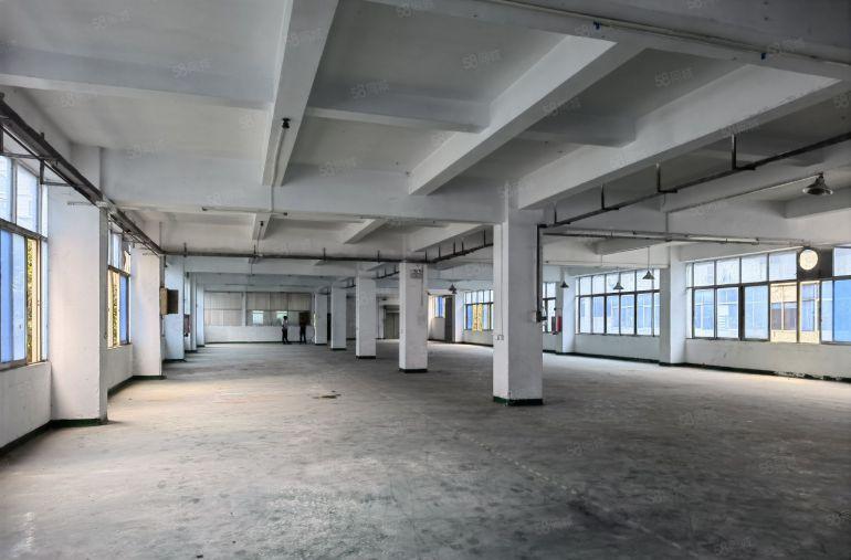 沙田镇杨公洲原房东精装办公 现成水电 独院厂房出租