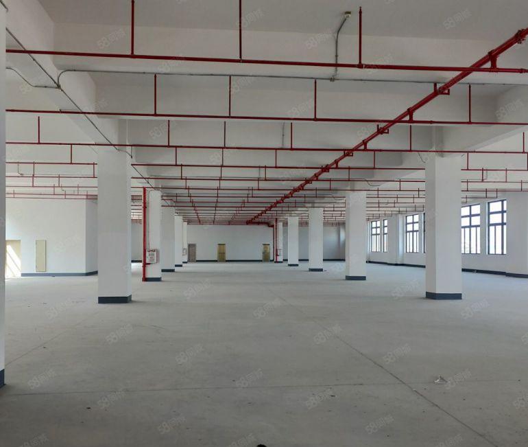 沙田全新厂房低价清盘，大小分租！