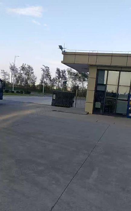 沙田镇原房东独门独院红本厂房130000平方米