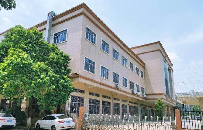 原房东独院标准厂房三层6000方 带现成办公室与宿舍工业用地