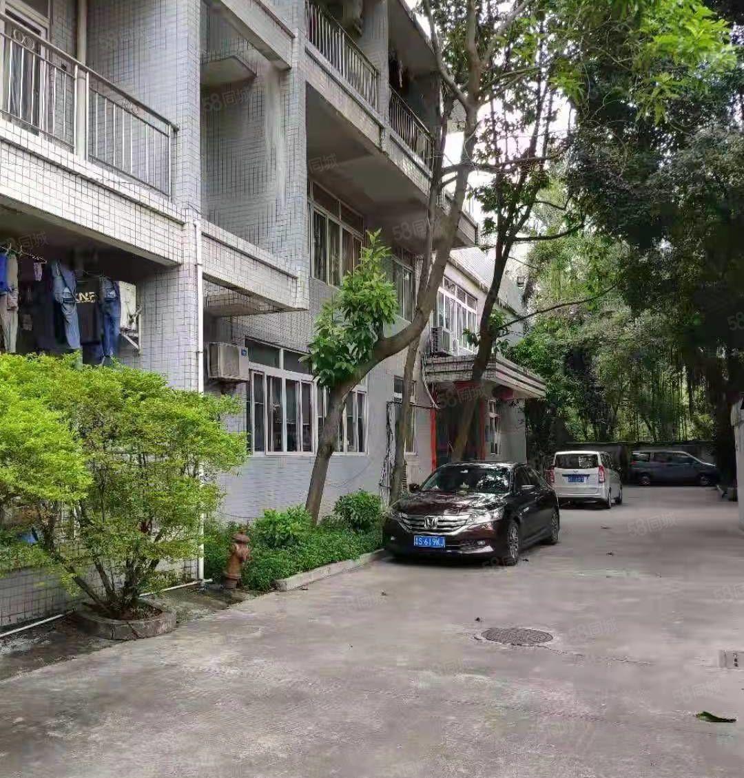 新出独院厂房，低价出租