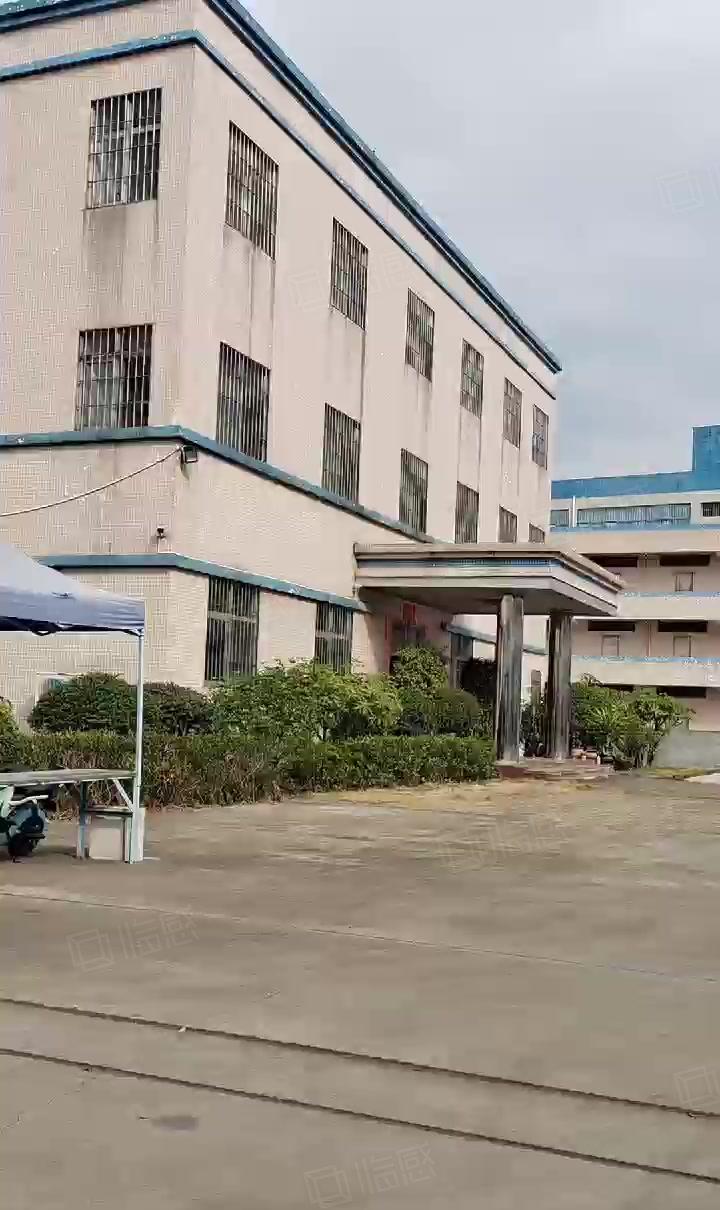 沙田靠厚街单一层独院6800方原房东实际面积，高9米可办环评