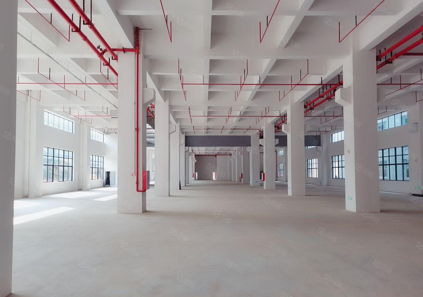 沙田6000平方独院厂房 出租1000平方起分可办环评