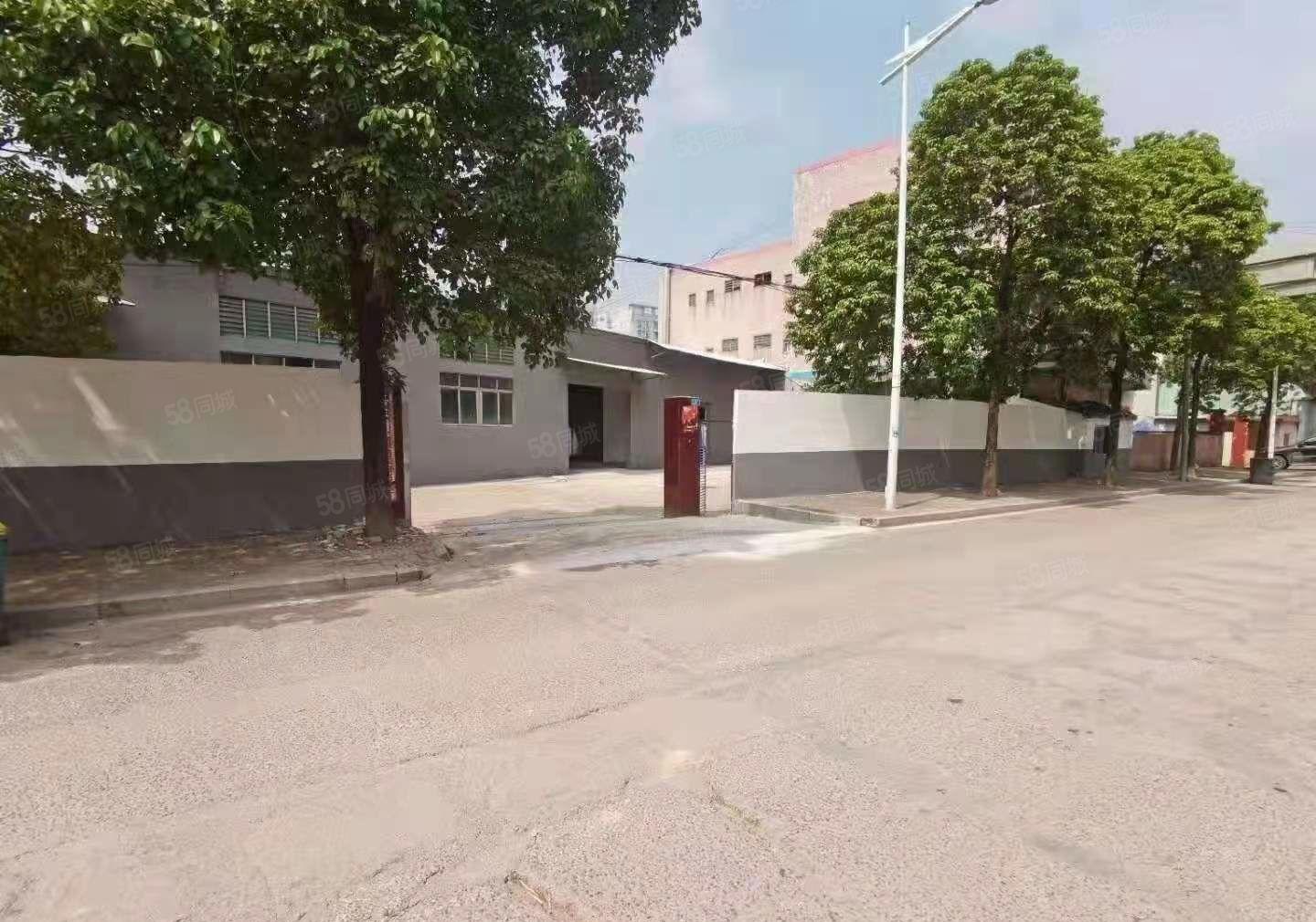 沙田镇新出一楼2000平原房东钢构厂房，空地大，好进大车出租