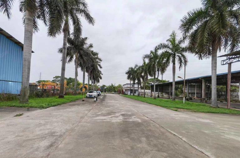 （任意分租）独院钢构厂房76000方低价租，带红本，空地超大