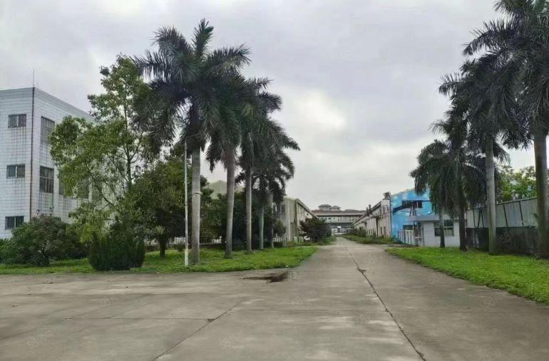 （任意分租）独院钢构厂房76000方低价租，带红本，空地超大