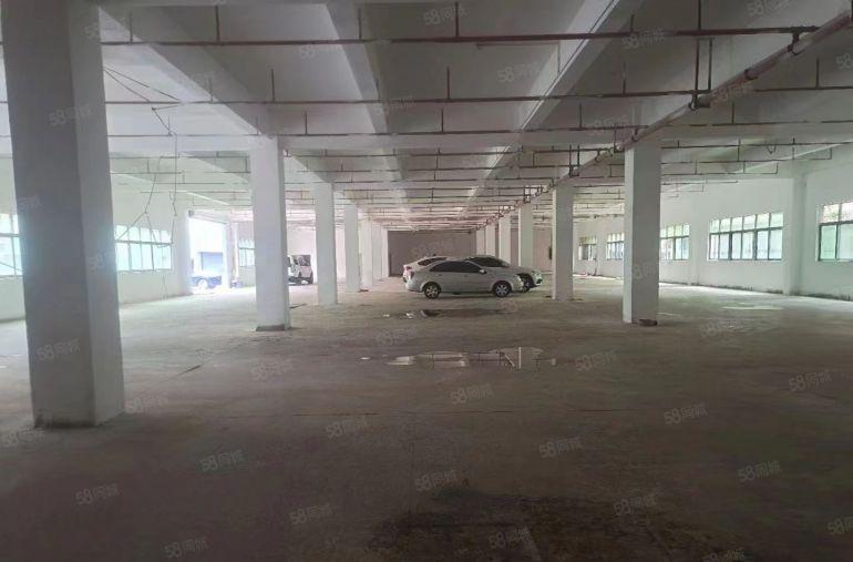 沙田独门独院全新厂房，空地大交通好！