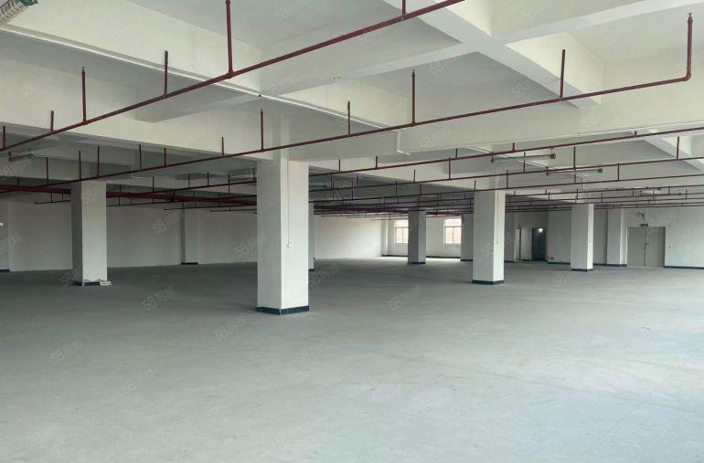 沙田镇本地佬新空出来独门独院三层厂房出租空地超大