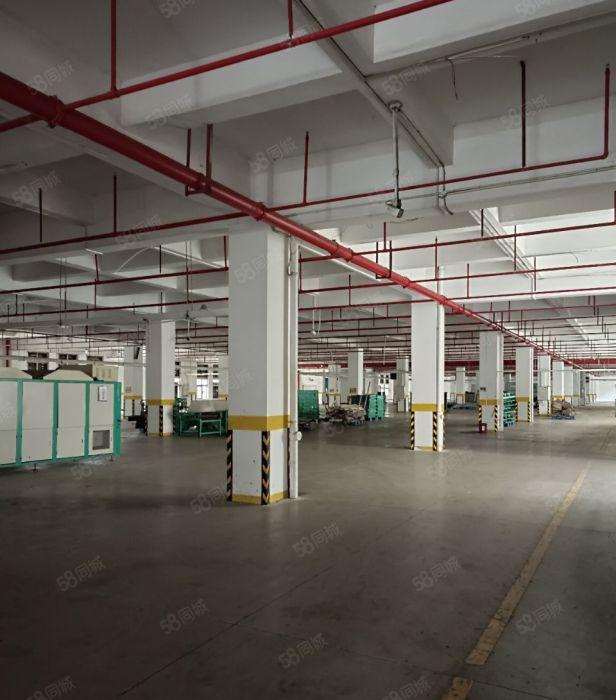 沙田新出原房东上市公司形象独栋厂房22680方