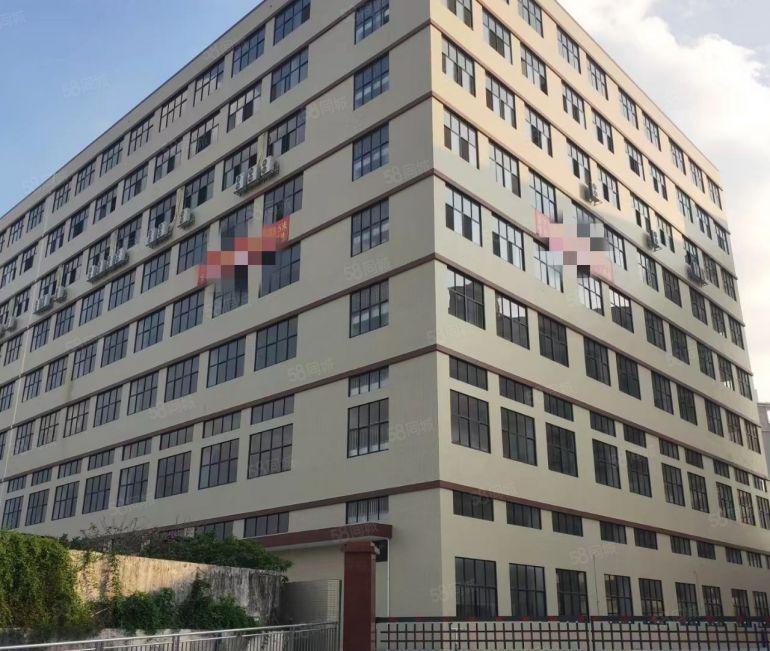 沙田全新厂房低价清盘，大小分租！