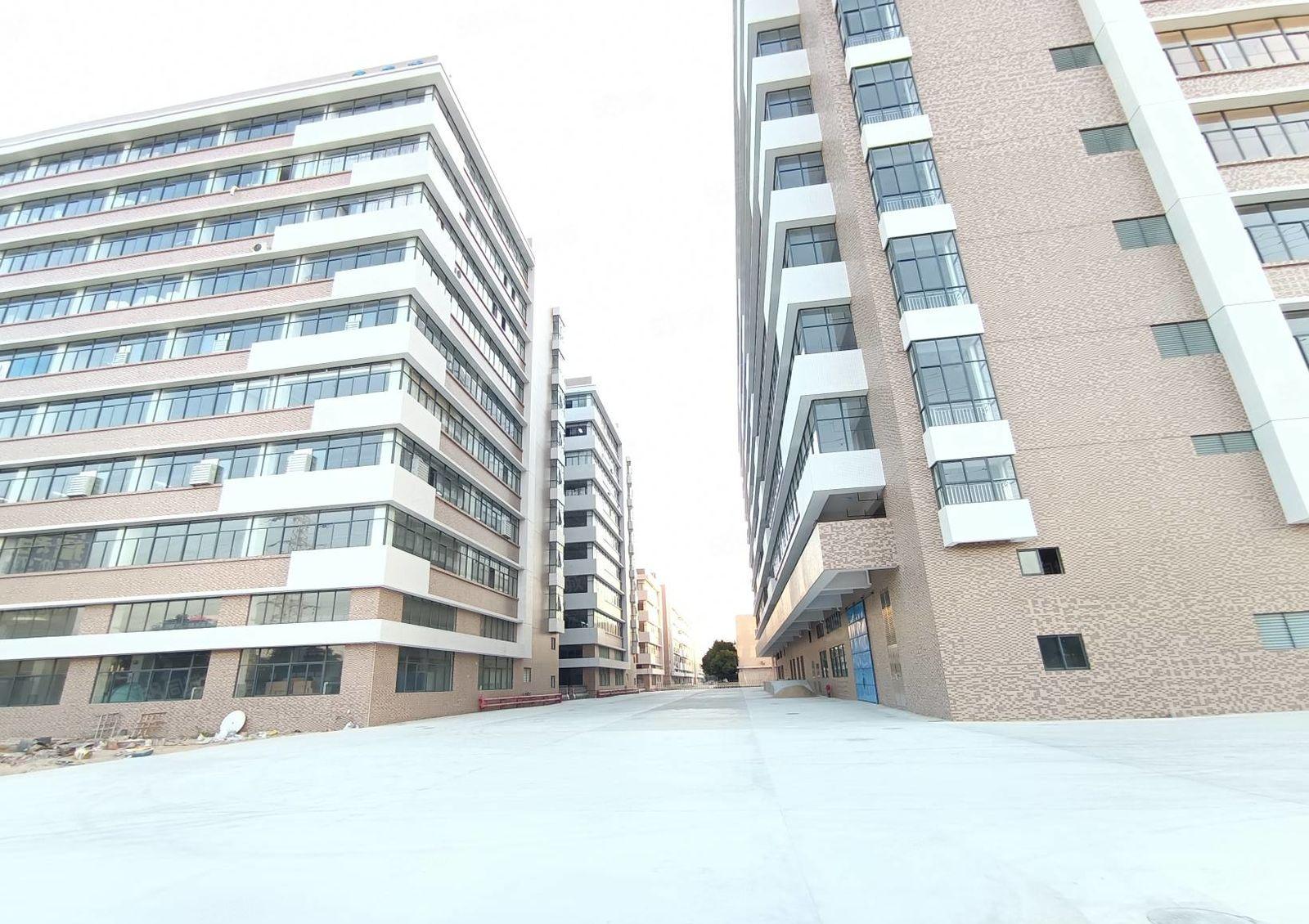 钜惠！沙田全新独门独院标准厂房出租，园区证件齐全空地大 可分