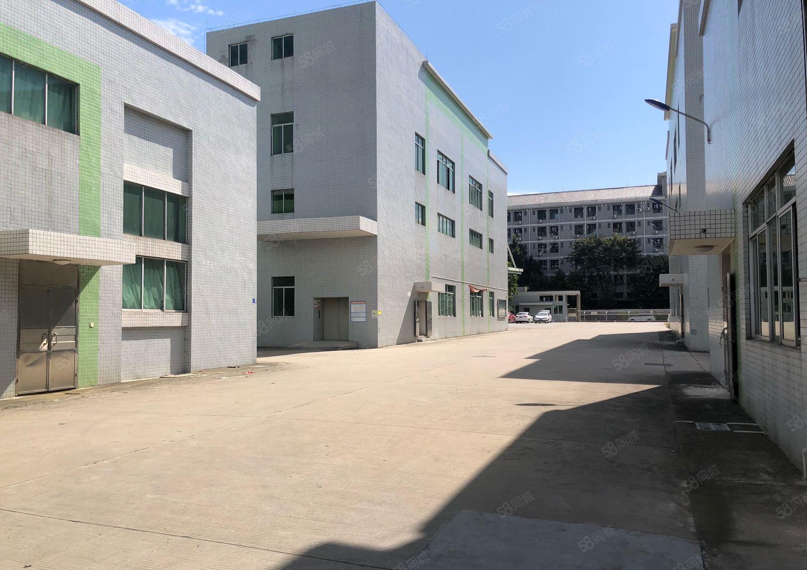 沙田镇新出独院红本厂房32000平米分租