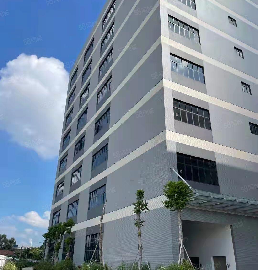 东莞麻涌高新智能电子产业园招商