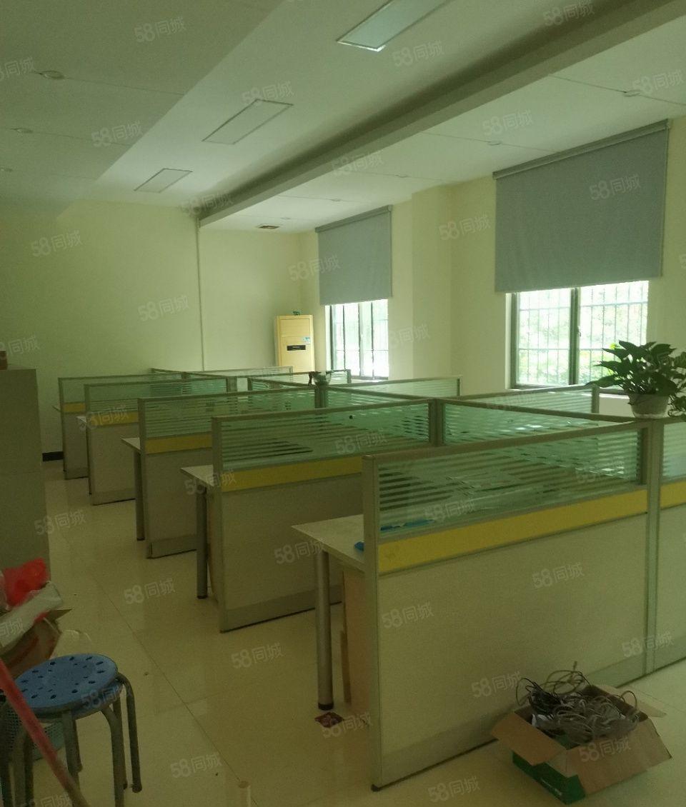 麻涌原房东5000平方高台单层仓库出租（可租2500平方）