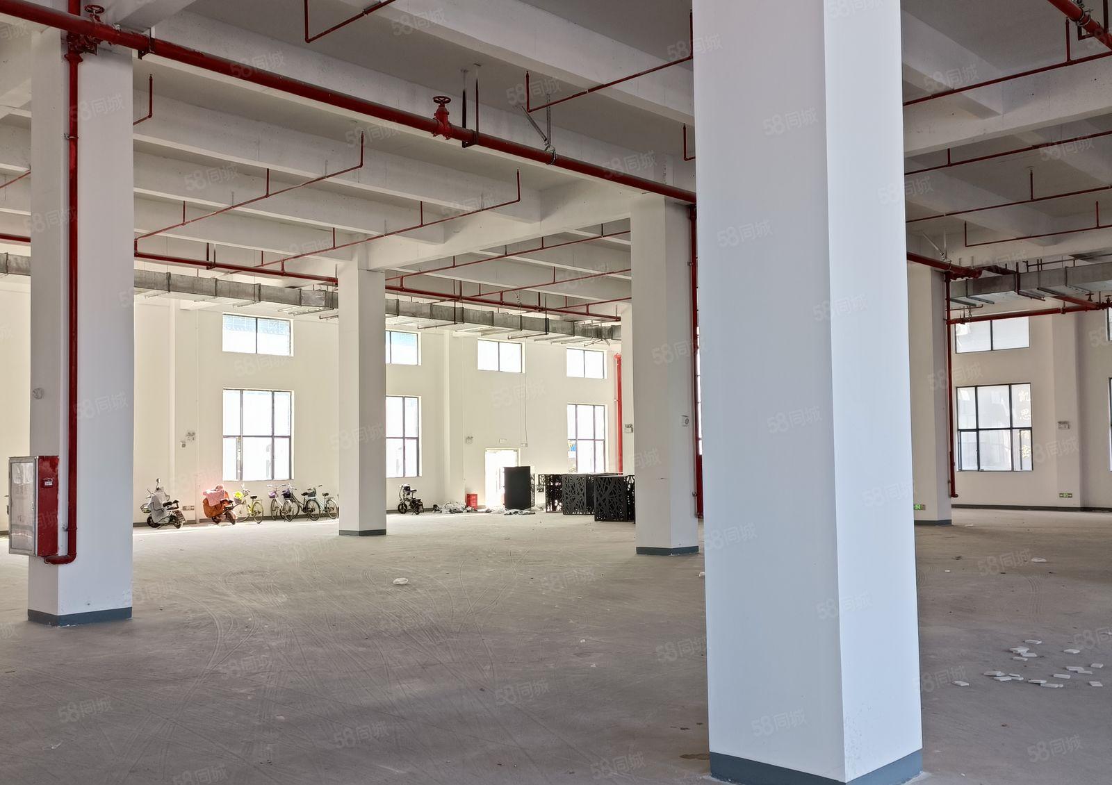 东莞麻涌高新智能电子产业园招商介绍