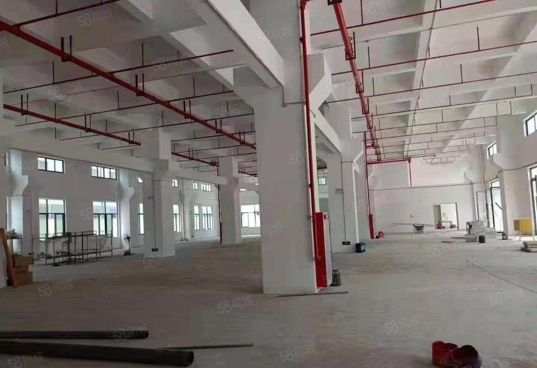 麻涌全新厂房低价厂房出租